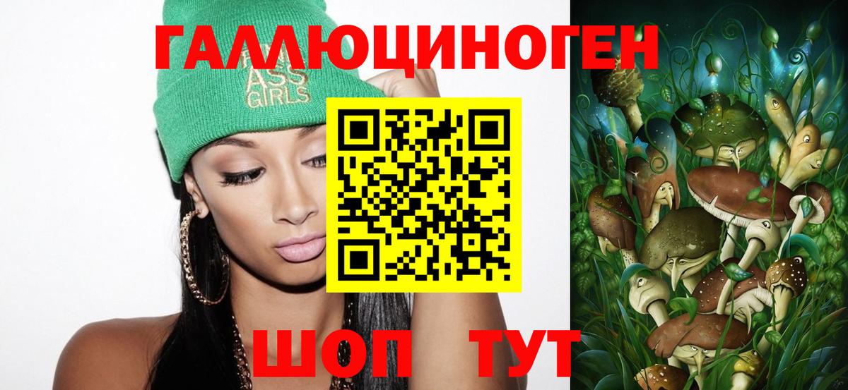 Псилоцибиновые грибы Psilocybe Можайск